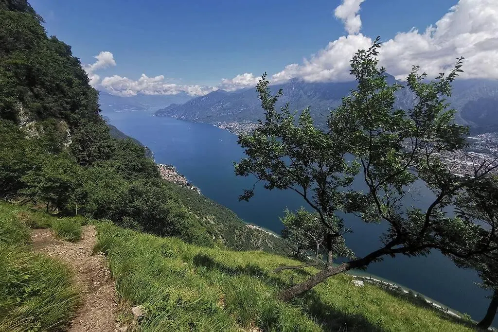 The River Nest Lasnigo Italy